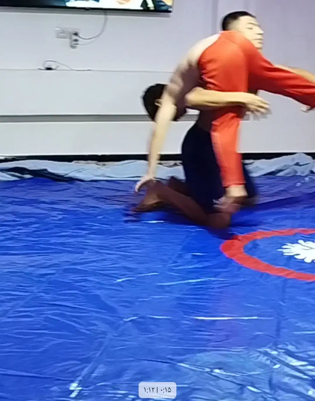 تشک کشتی|تجهیزات ورزشی|یاسوج, |دیوار