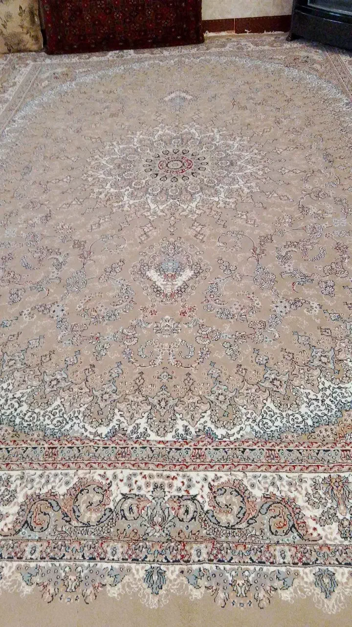 قالی|فرش|تربت جام, جامرود|دیوار