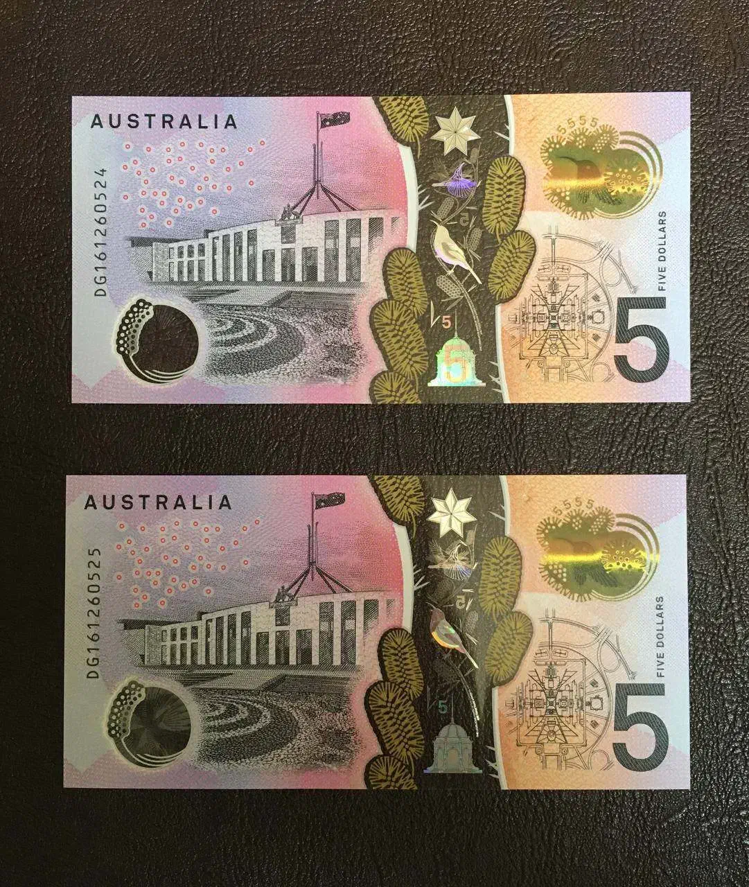 5 دلاری استرالیا پلیمری (کلکسیونی)|کلکسیون سکه، تمبر، اسکناس|اصفهان, باغ نگاره|دیوار