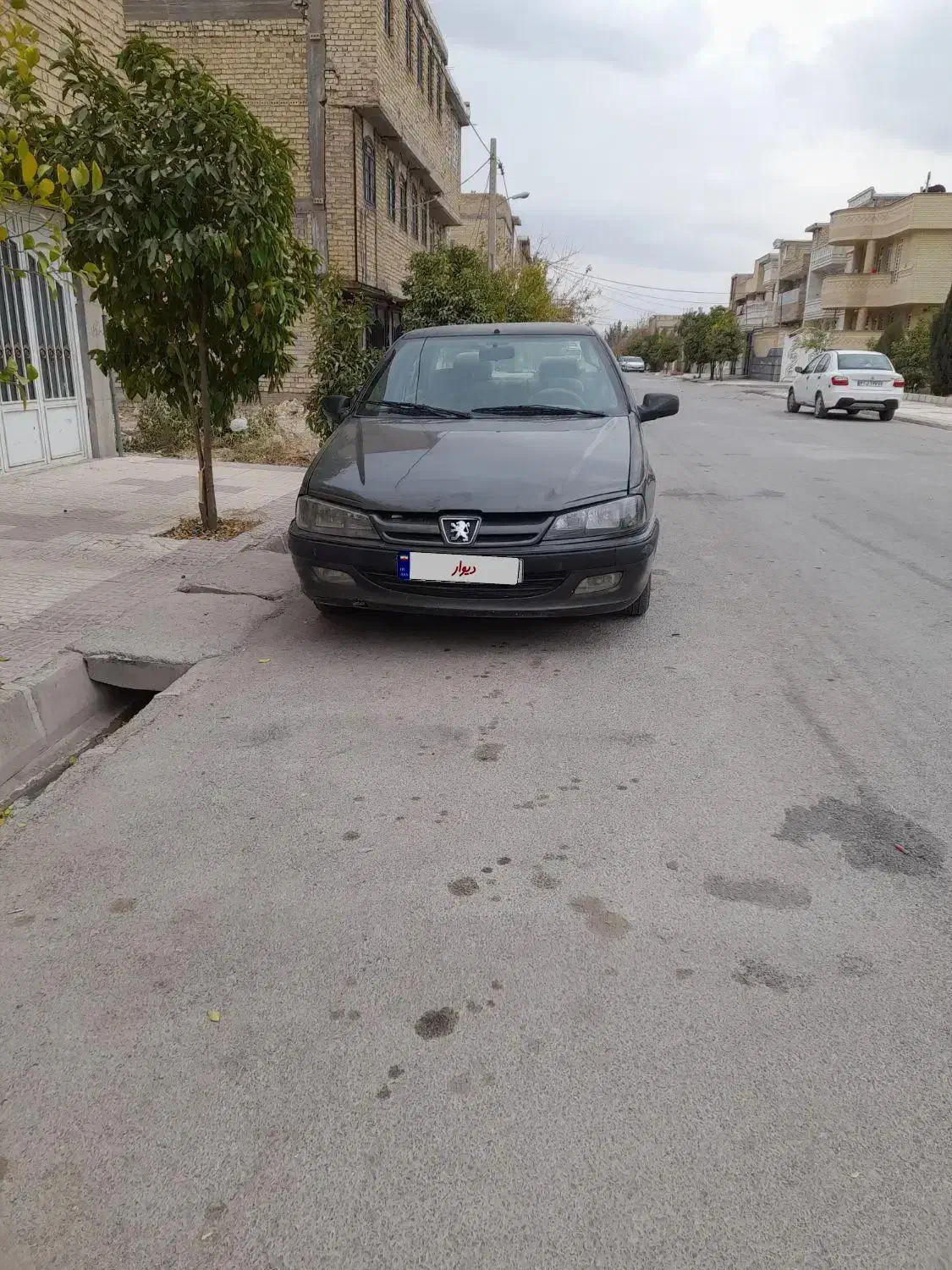 پژوپارس|خودرو سواری و وانت|مرودشت, فاز دوم شهرک فرهنگیان|دیوار