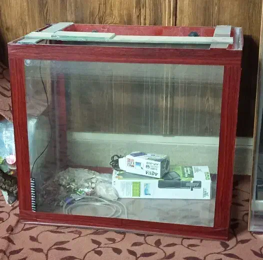 آکواریم سالم بزرگ|ماهی|یزد, |دیوار