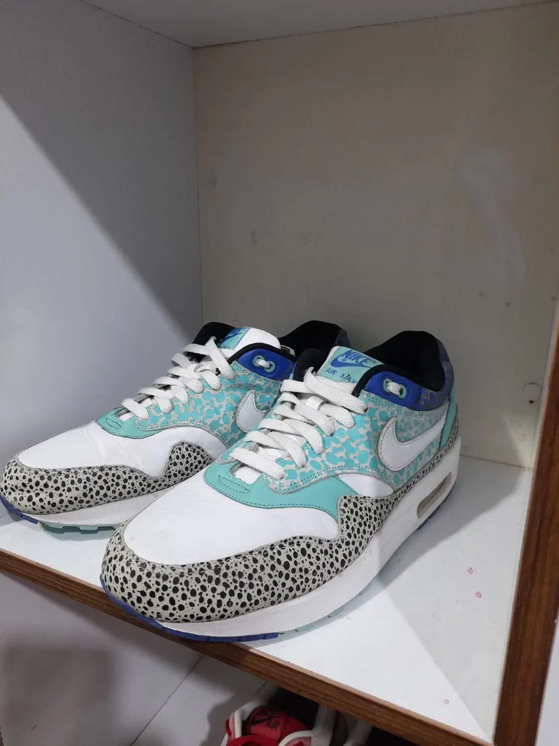 کتونی اورجینال|کیف، کفش، کمربند|قائمشهر, |دیوار