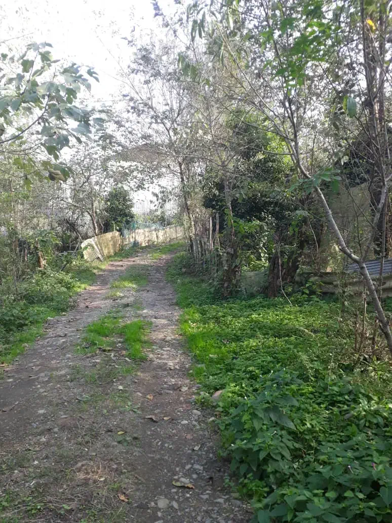 زمین 500متر مسکونی دار|فروش زمین و ملک کلنگی|رشت, سلیمانداراب|دیوار