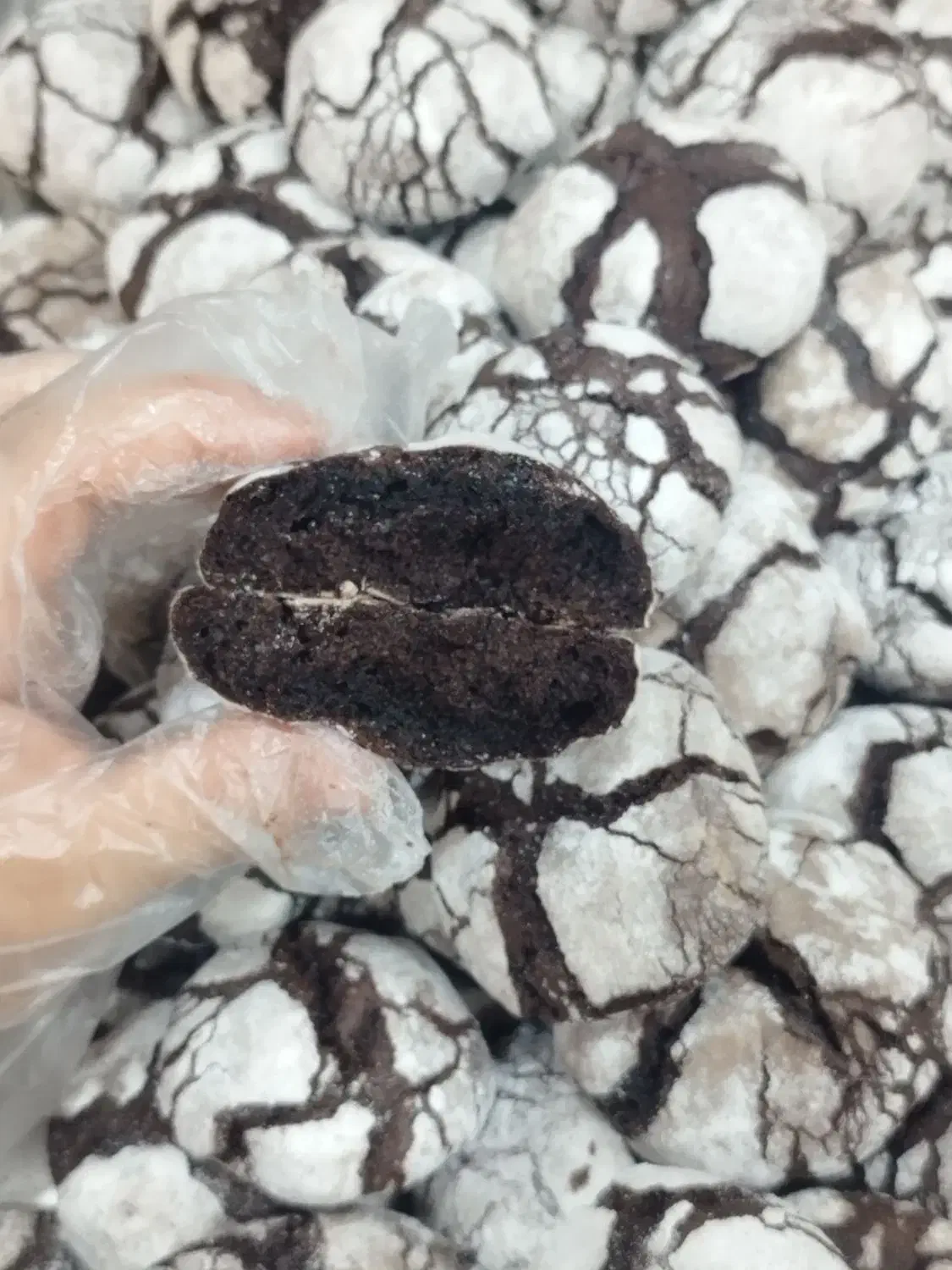 فروش عمده انواع کوکی برای فروش|خدمات پذیرایی، مراسم|رشت, شالکو|دیوار