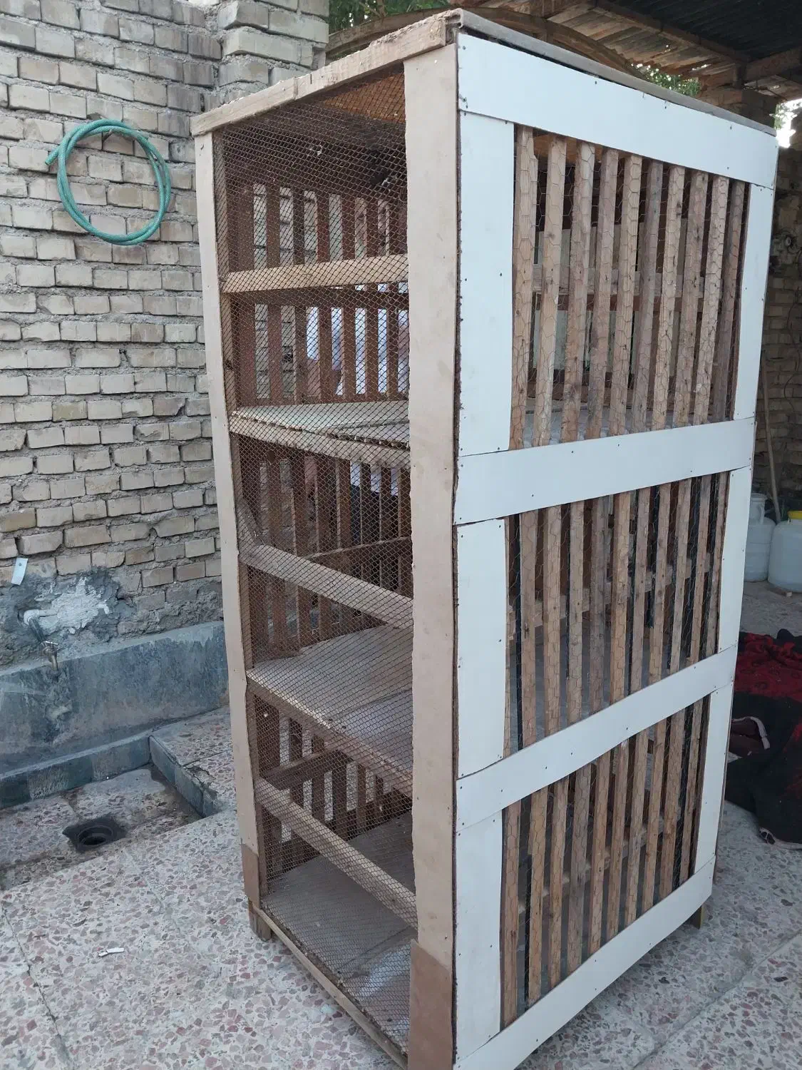 کبوتر|پرنده|خرمشهر, |دیوار