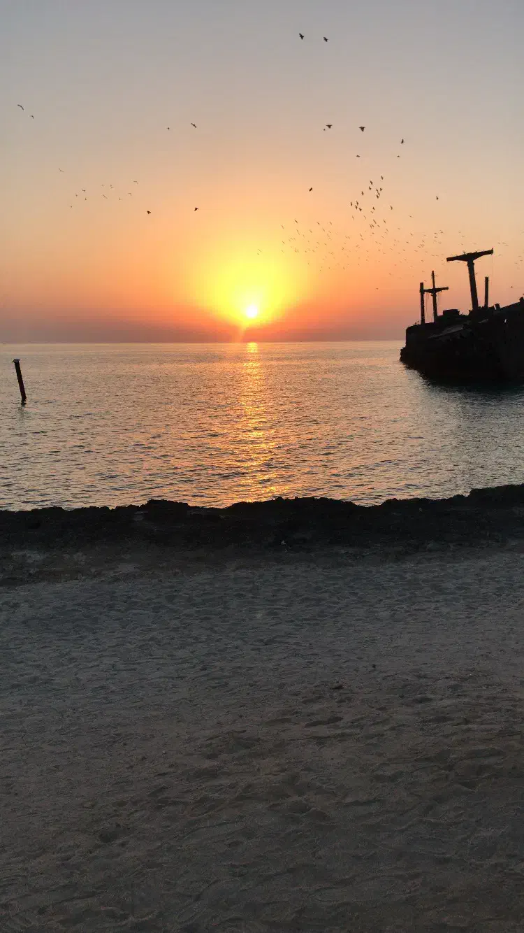 گردشگری|تور و چارتر|کیش, |دیوار