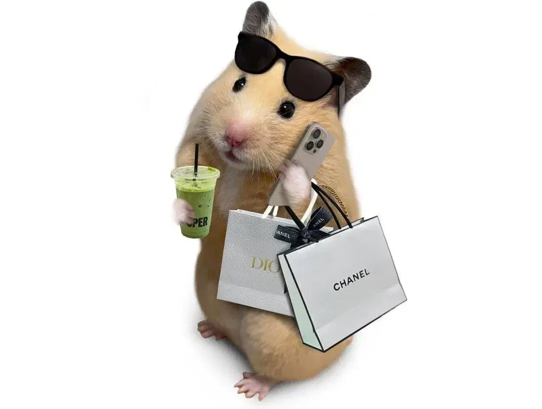 استخدام کارمند نیمه وقت خانم دانشجو|استخدام اداری و مدیریت|تهران, تهرانسر مرکزی|دیوار