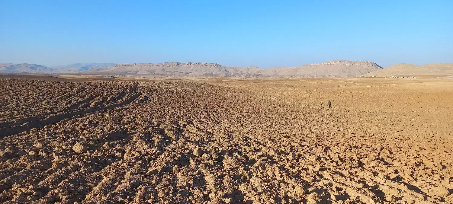 اجاره زمین کشاورزی|اجارهٔ دفتر صنعتی، کشاورزی، تجاری|کوهدشت, |دیوار