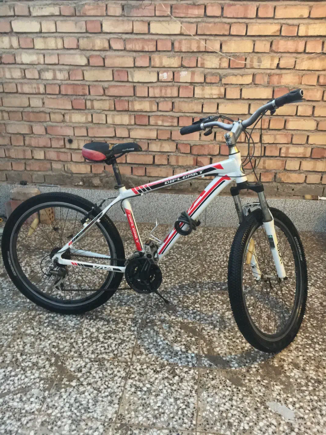 دوچرخه ویوا تنه آلمینیوم|دوچرخه، اسکیت، اسکوتر|زرند, |دیوار