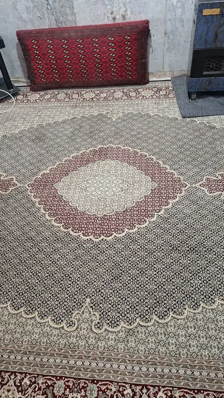 یک تخته فرش ۱۲ متری|فرش|تربت جام, زیباکنار|دیوار