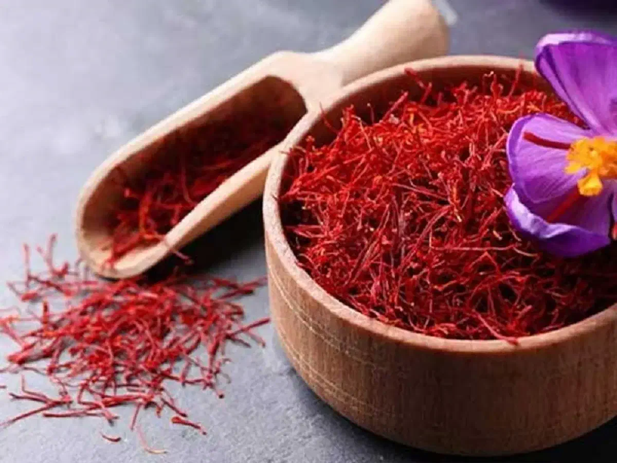 زعفران قائنات|عمده‌فروشی|صدرا-فارس, فاز ۱|دیوار