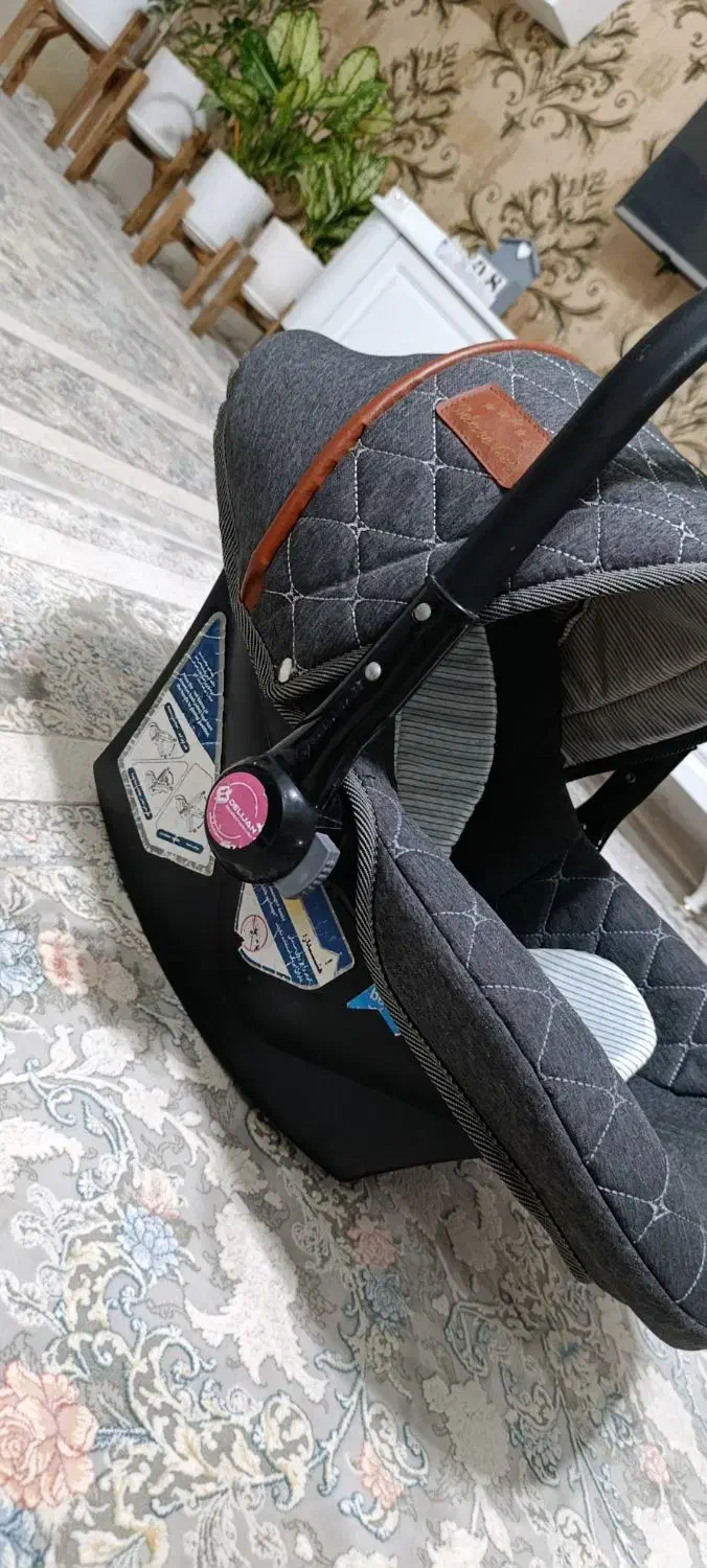 کریر|کالسکه و لوازم جانبی|کاشمر, |دیوار