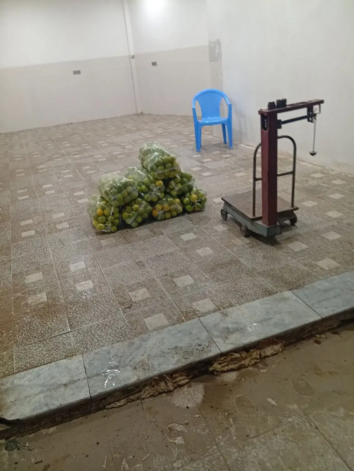 فروش پرتقال گنبکی|عمدهفروشی|گنبکی, |دیوار