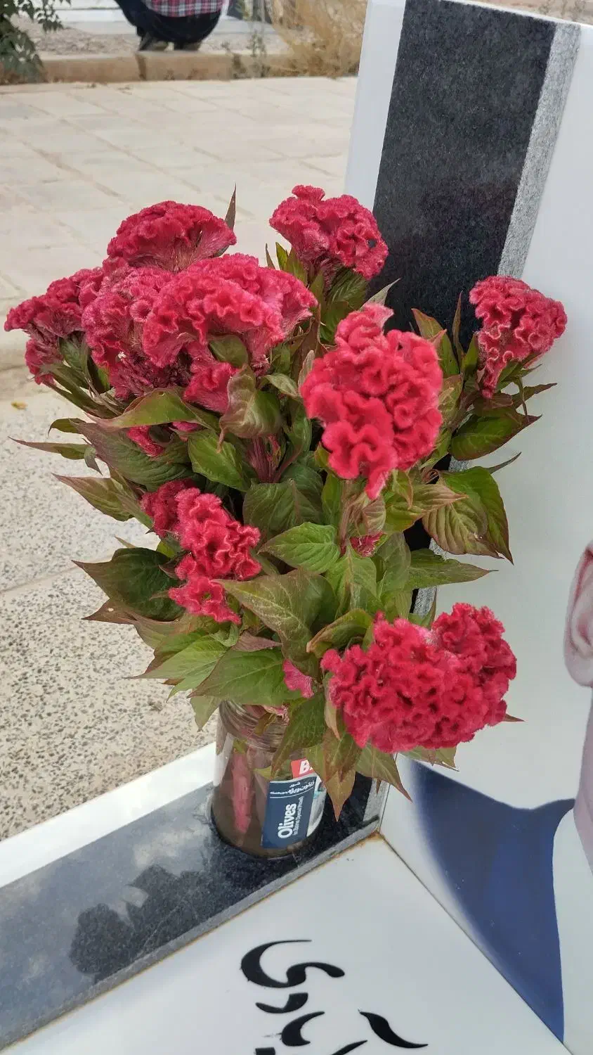 سبزی ابپز|خوردنی و آشامیدنی|شاهین‌شهر, شهرک گلدیس|دیوار