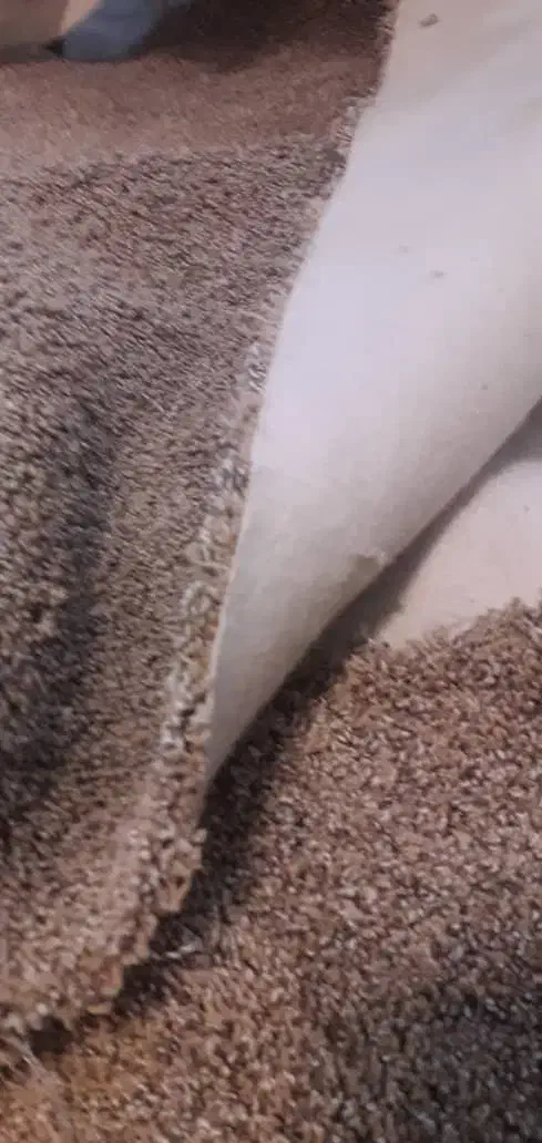 موکت پرز بلند تافینگ ظریف مصور|موکت|اهواز, گلستان|دیوار