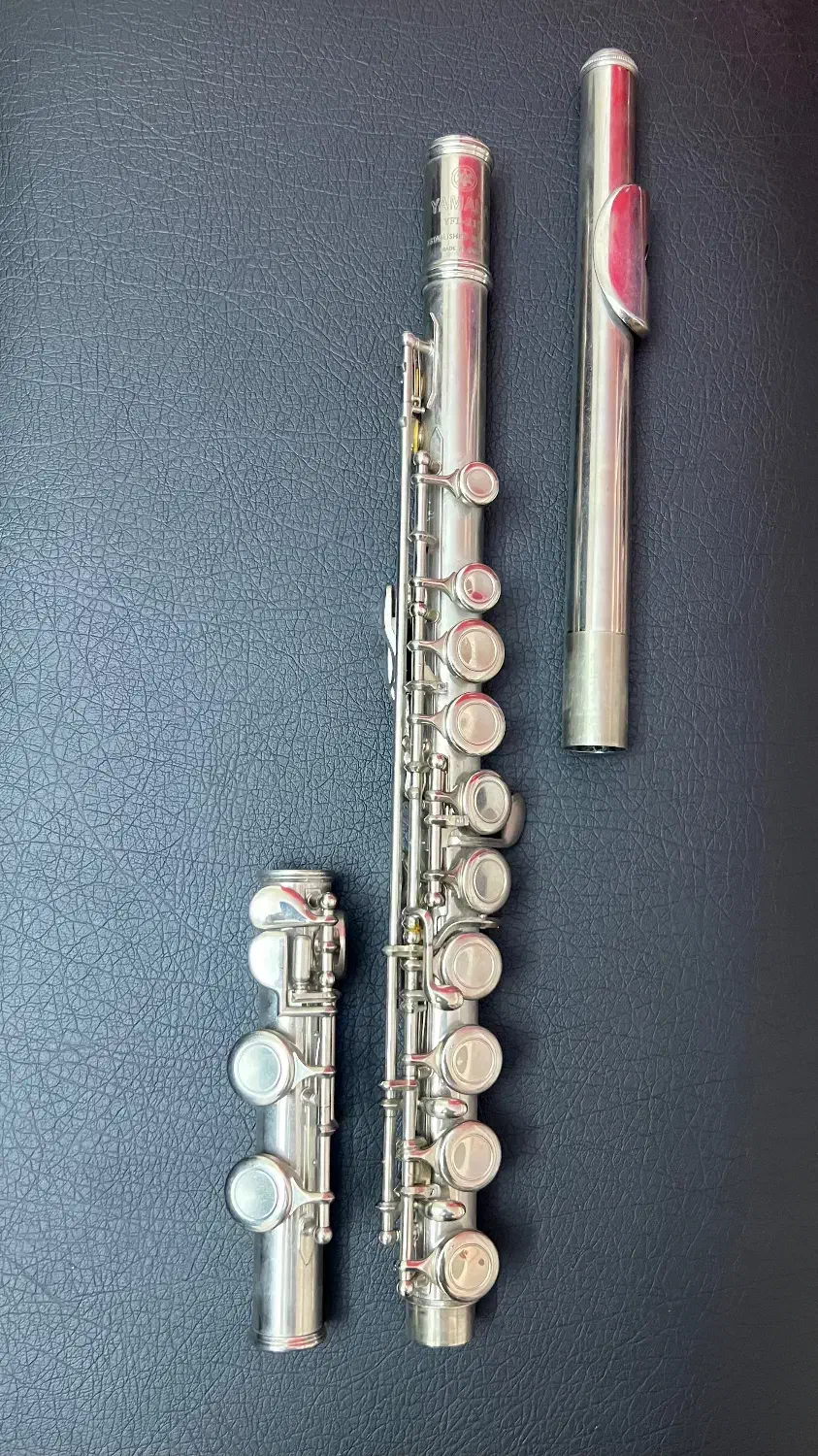 فلوت شصتی دار|سازهای بادی|مشهد, هنرستان|دیوار