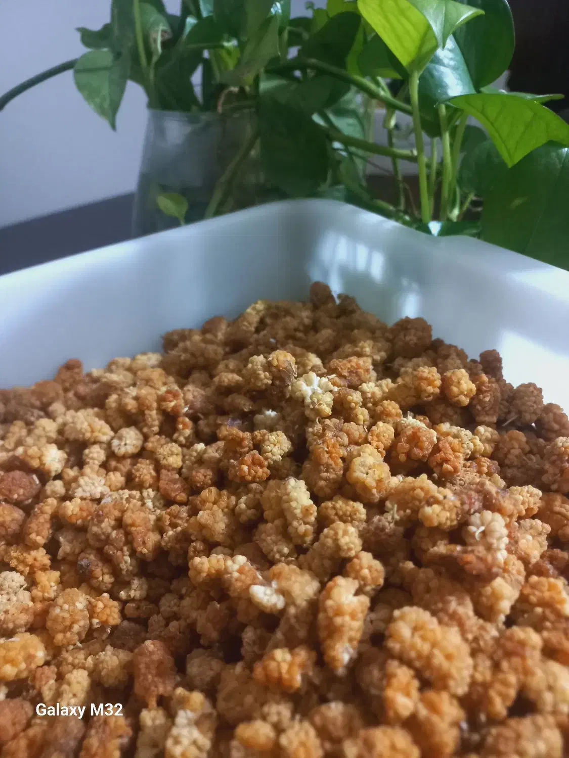 کشمش پلویی ۲۵۰ وخشکبار سبزوار|خوردنی و آشامیدنی|گرگان, |دیوار