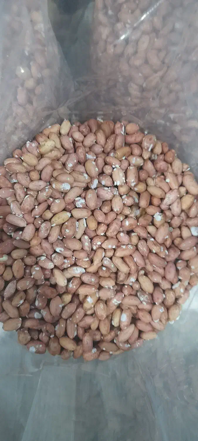 خلال بادام و بادام آجیلی|خوردنی و آشامیدنی|آستانه اشرفیه, |دیوار