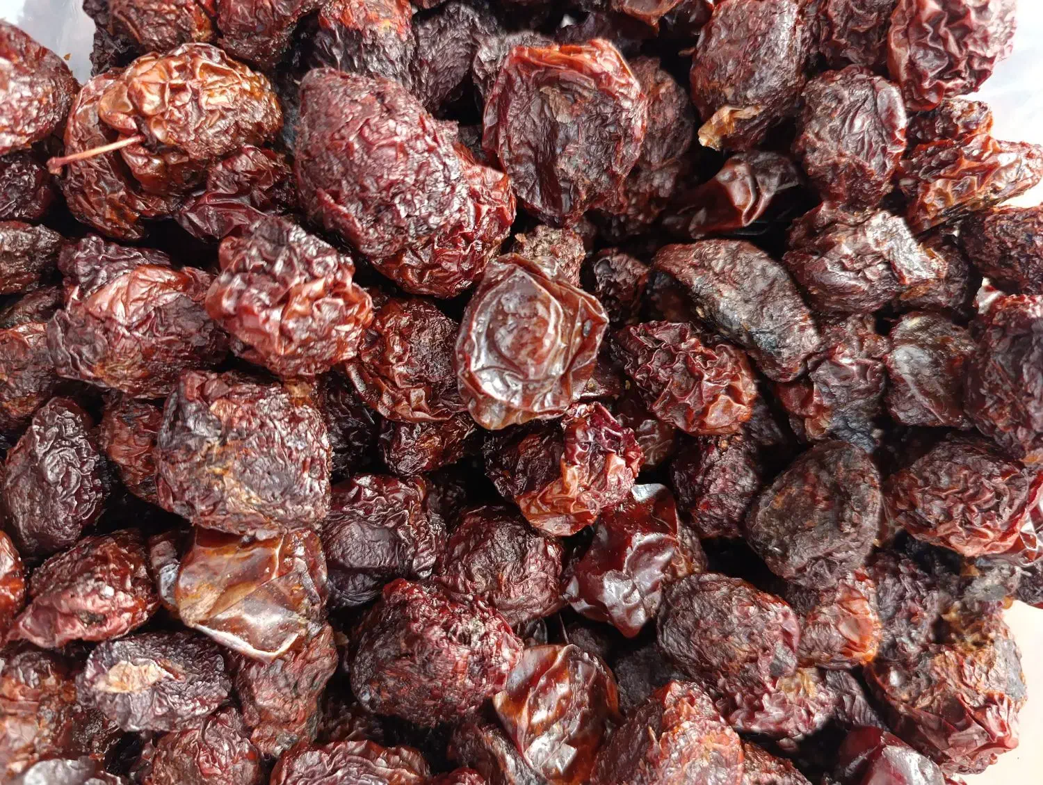 خشکبار|خوردنی و آشامیدنی|قم, ولیعصر|دیوار