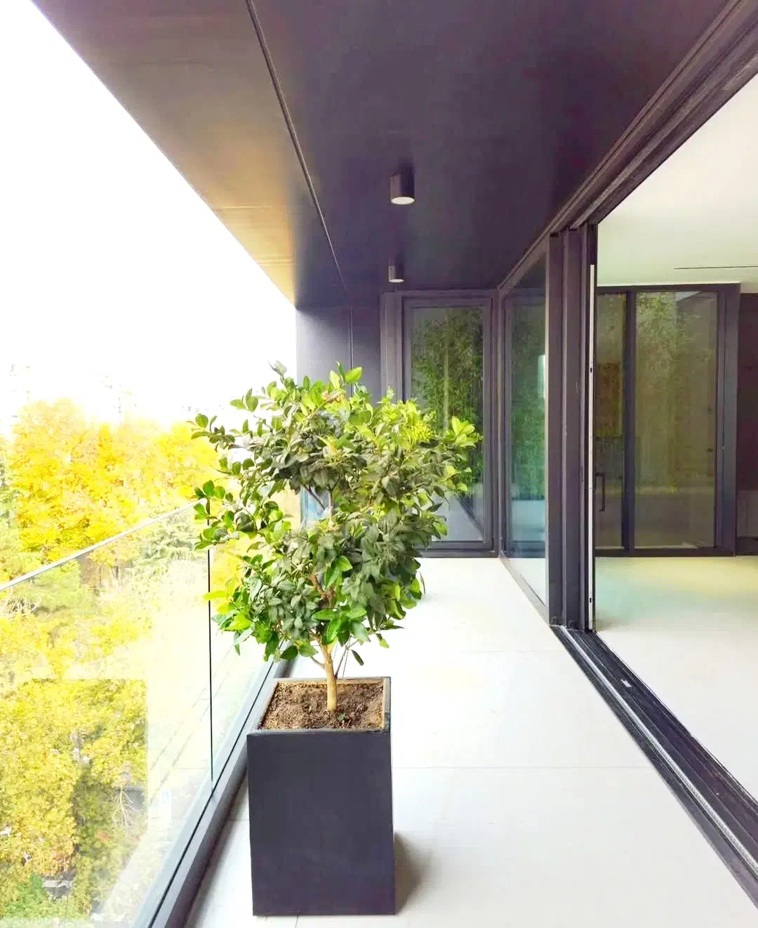 205متر*نگین الهیه*تک واحدی*سند تک برگ*مدرن|فروش آپارتمان|مشهد, الهیه|دیوار