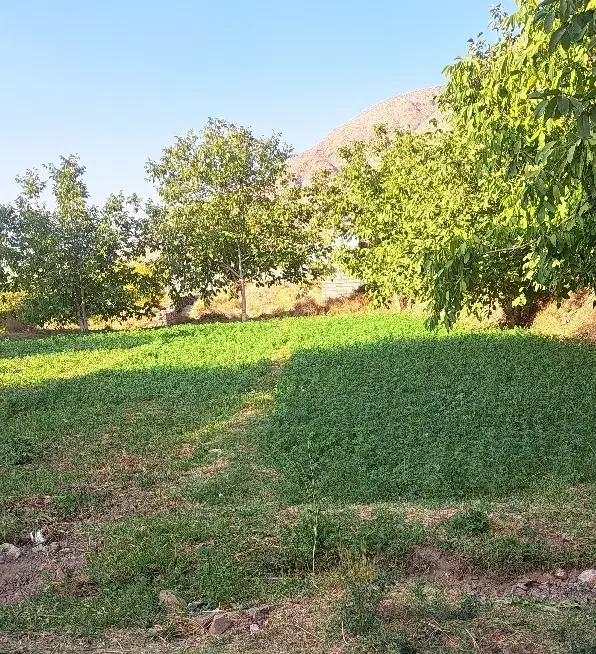 زمین دهبکری|فروش زمین و ملک کلنگی|دهبکری, |دیوار