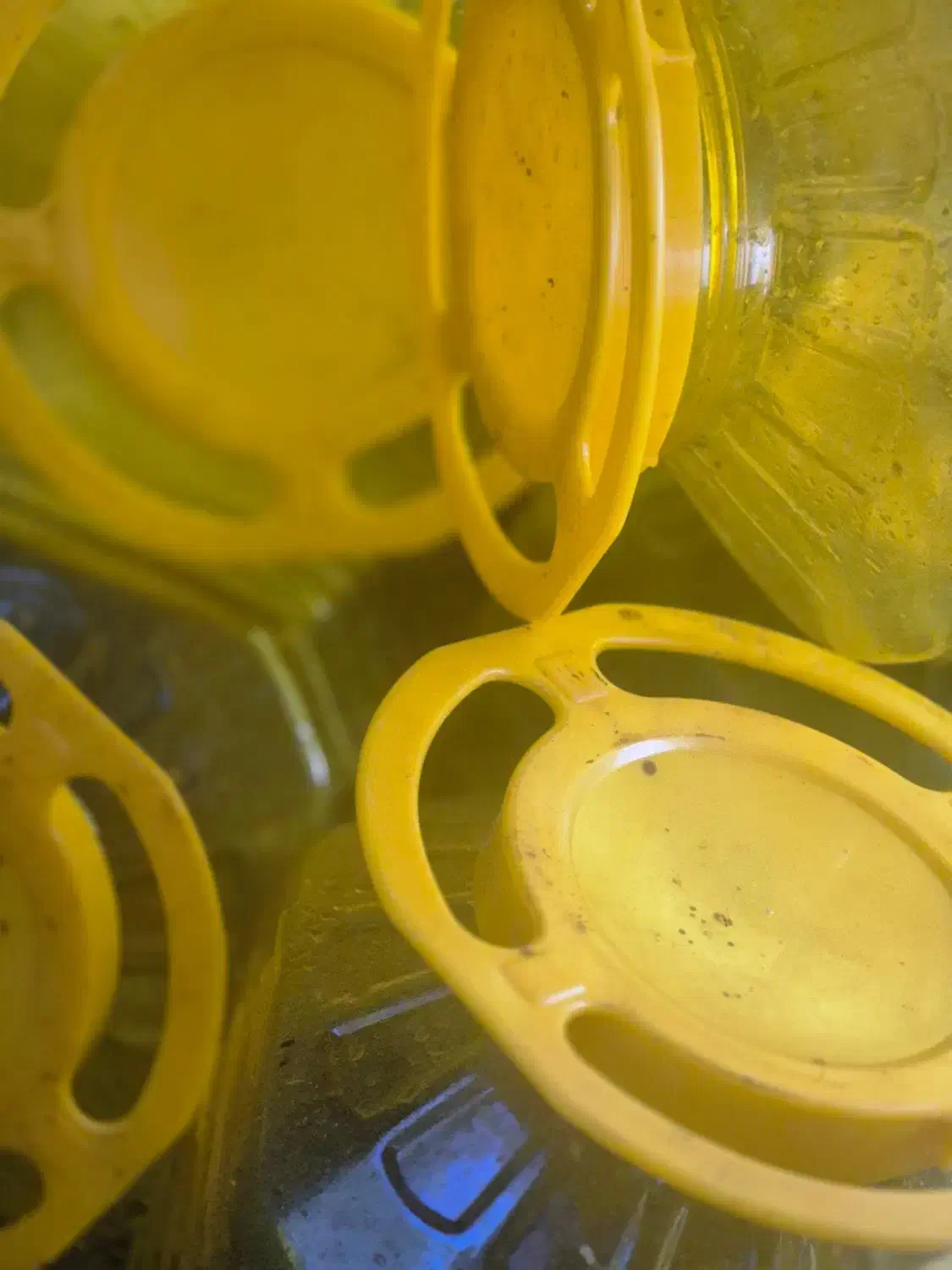 ظرف پلاستیکی|ظروف نگهدارنده، پلاستیکی، یک‌بارمصرف|بندر انزلی, میان پشته|دیوار