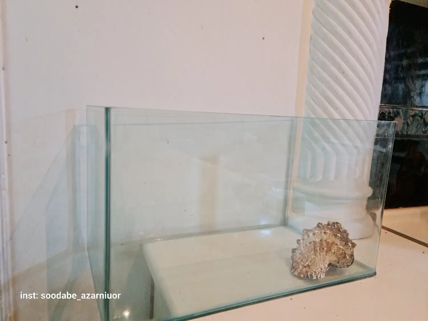 آکواریوم|ماهی|رشت, پیرسرا|دیوار