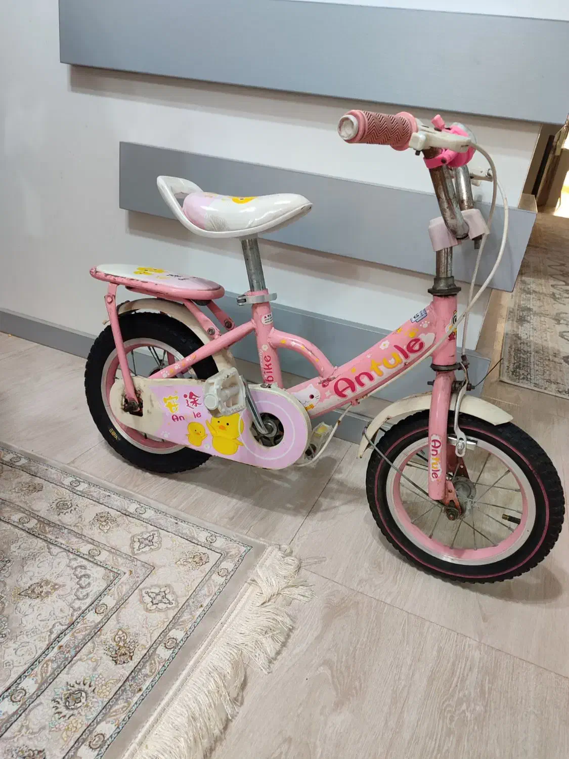 دوچرخه بچه گانه|دوچرخه، اسکیت، اسکوتر|بندرعباس, |دیوار