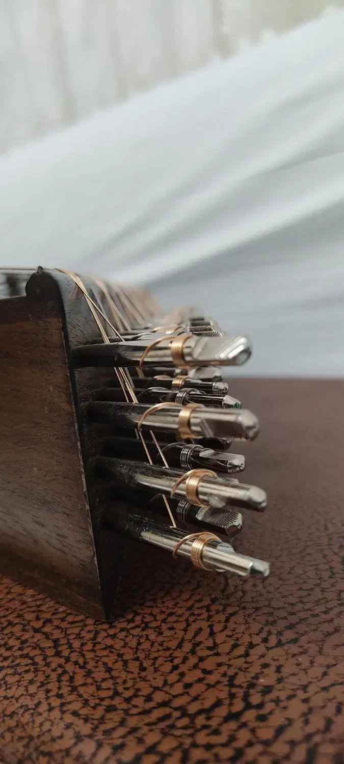 فروش دو ساز آماتور و نیمه حرفه ای|سازهای سنتی|تهران, یاخجی آباد|دیوار