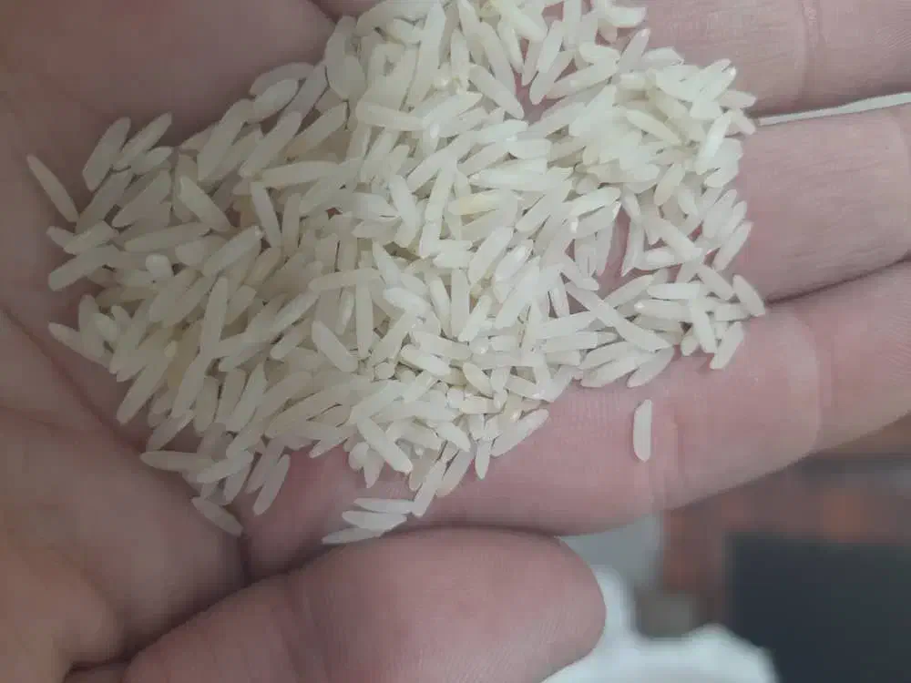 برنج پاکستانی رویال باسماتی|خوردنی و آشامیدنی|سنندج, |دیوار