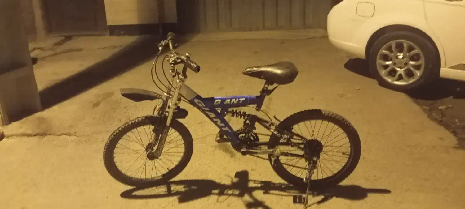 دوچرخه|دوچرخه، اسکیت، اسکوتر|قدس, شهر‌قدس|دیوار