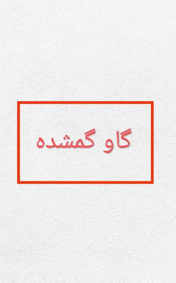 گاو دورگ گم شده|حیوانات|رشت, چله خانه|دیوار