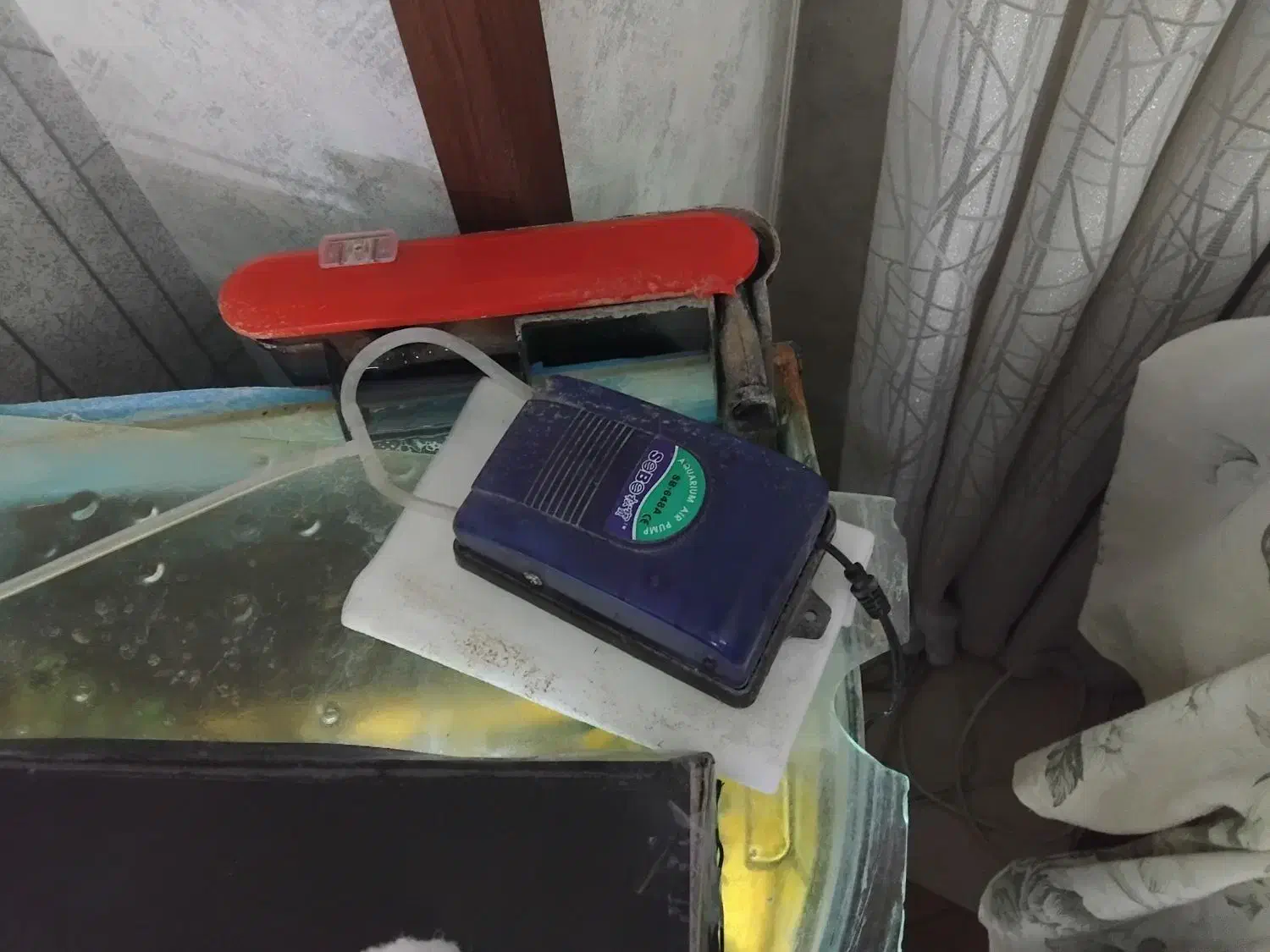 آکواریوم خمیده با تجهیزات کامل و ماهی|ماهی|تهران, مولوی|دیوار