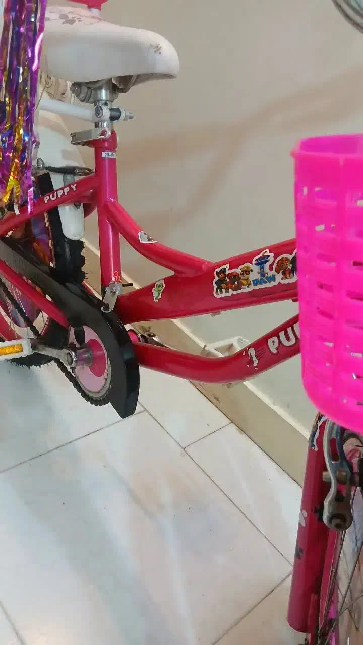 دوچرخه دخترونه خارجی سایز ۲۰|دوچرخه، اسکیت، اسکوتر|تهران, نارمک|دیوار