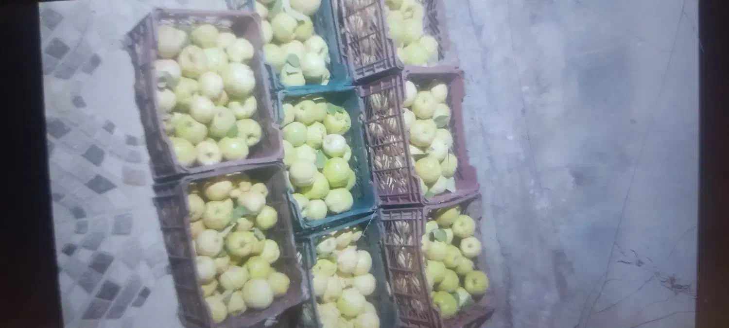 میوه به اصفهان|خوردنی و آشامیدنی|شیراز, لشکری‎|دیوار