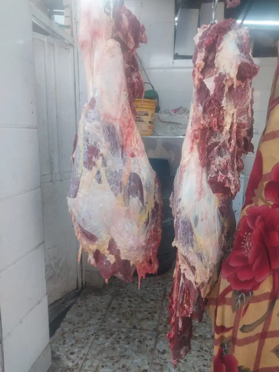 گوشت گاووگوساله لقم بی استخون وبااستخون|خوردنی و آشامیدنی|اهواز, اسلام آباد شرقی|دیوار