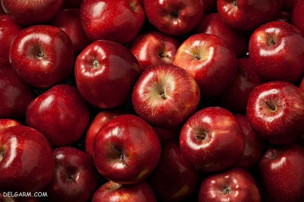 به تعدادی خانم برای کار سورتینگ سیب نیازمندیم|استخدام بازاریابی و فروش|مهاباد (آذربایجان غربی), |دیوار