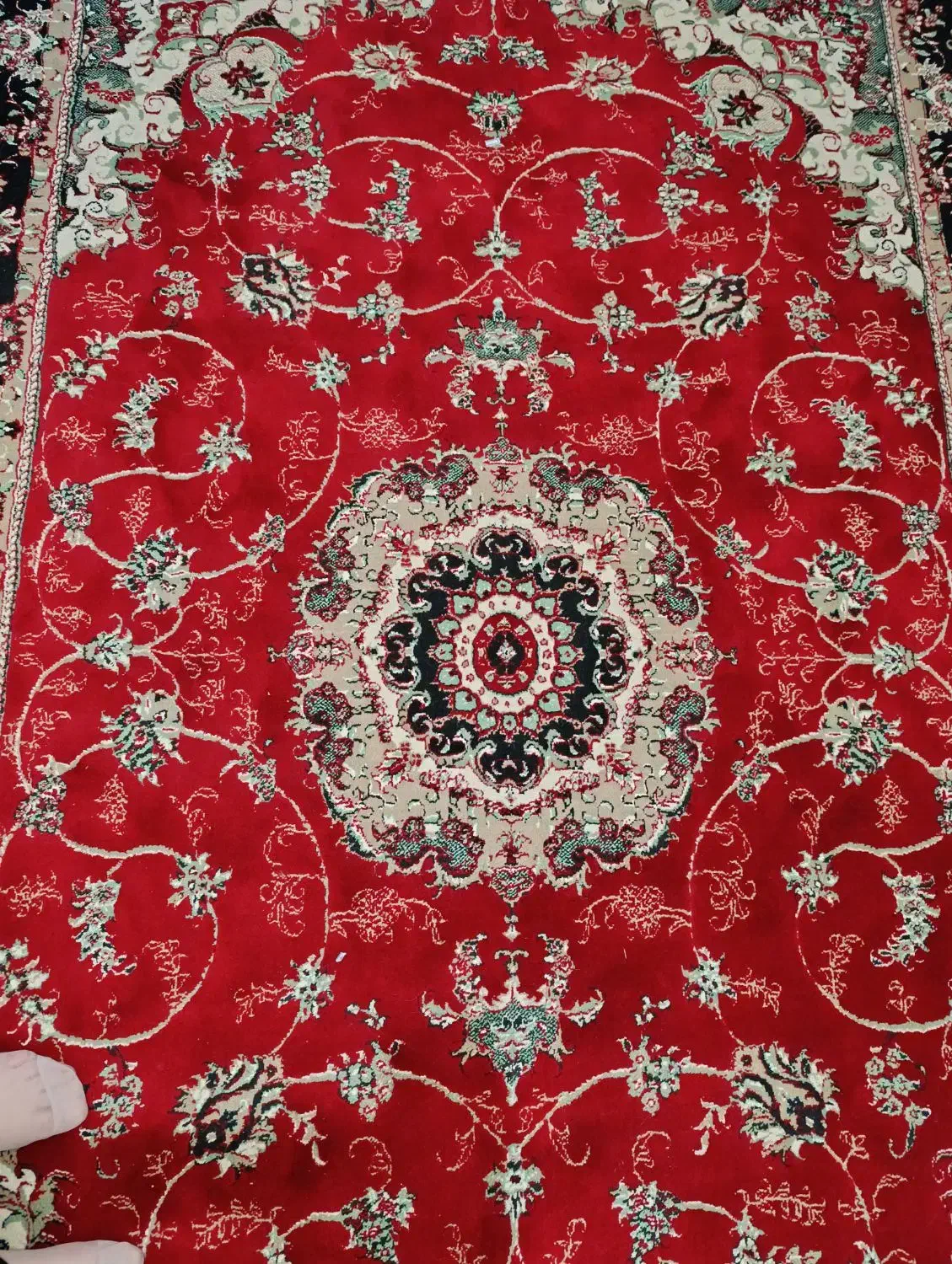 دوعدد فرش ۶ متری سالم|فرش|لاهیجان, کوی خزر|دیوار