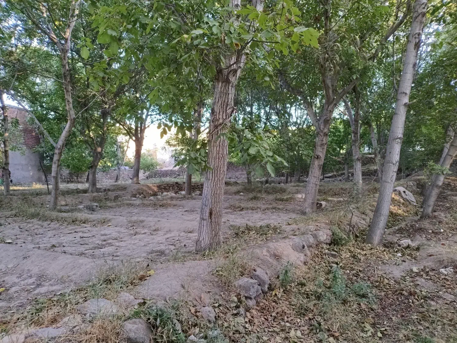 باغ در اسکو|فروش زمین و ملک کلنگی|اسکو, |دیوار