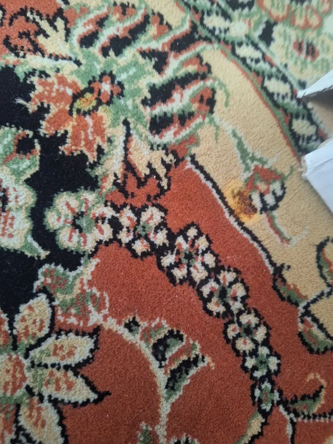 فرش ۱۲ متری|فرش|مشهد, حضرت حجت|دیوار