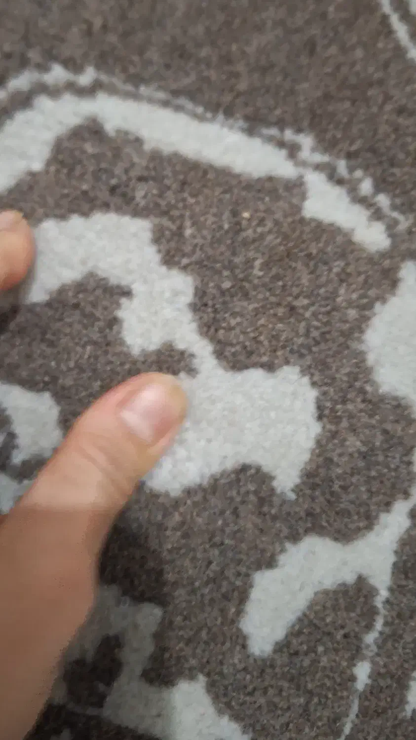 فرش پشمی|فرش|تهران, نعمتآباد|دیوار