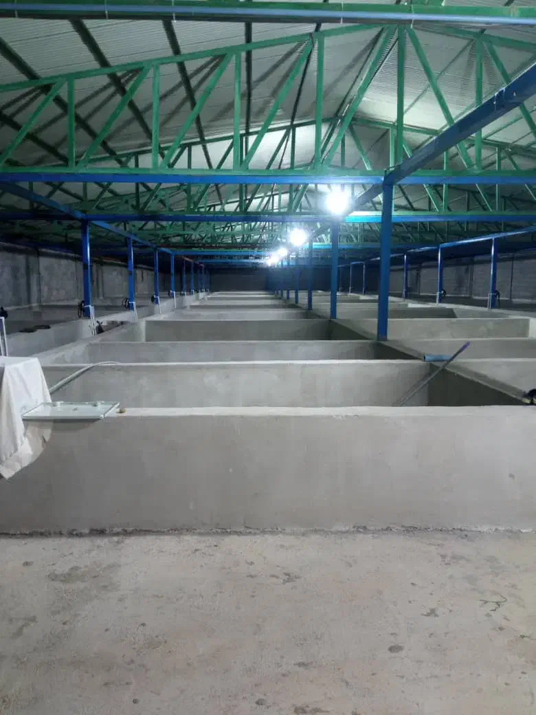 فروش سوله تجهیز شده برای پرورش آبزیان|فروش دفتر صنعتی، کشاورزی، تجاری|رشت, بلوار گیلان|دیوار