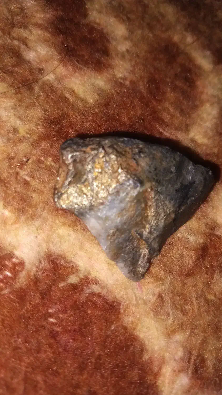 سنگ قدیمی|کلکسیون اشیاء عتیقه|بم, |دیوار