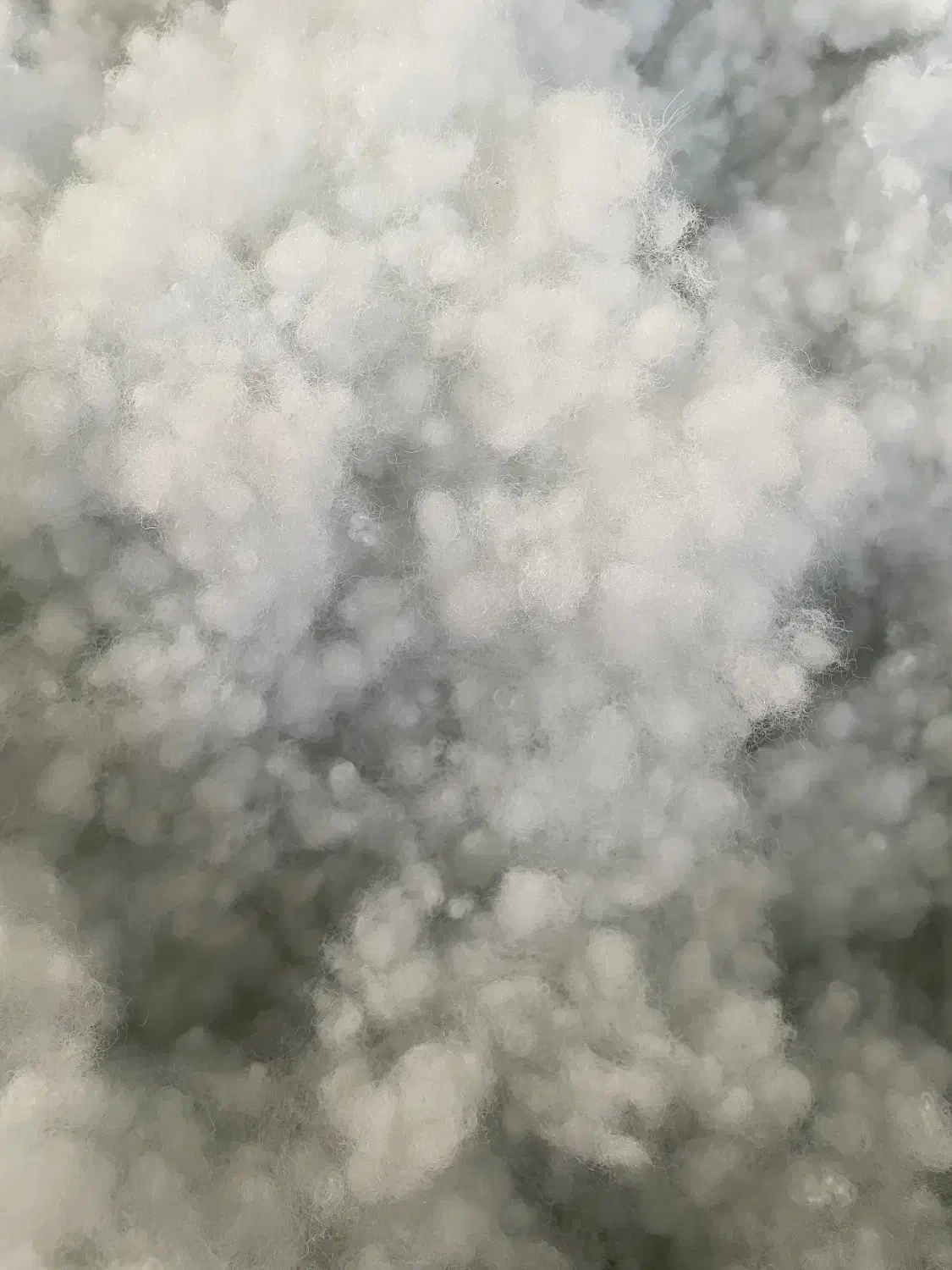 هالو سالید الیاف بالفایبرتوپی الیاف حلاجی کاپشن|رختخواب، بالش، پتو|قرچک, داوود آباد|دیوار