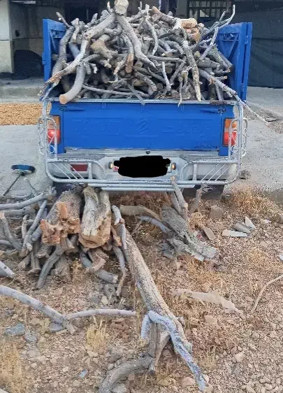 خرید چوب درخت.استهبان|خدمات باغبانی و درختکاری|استهبان, |دیوار