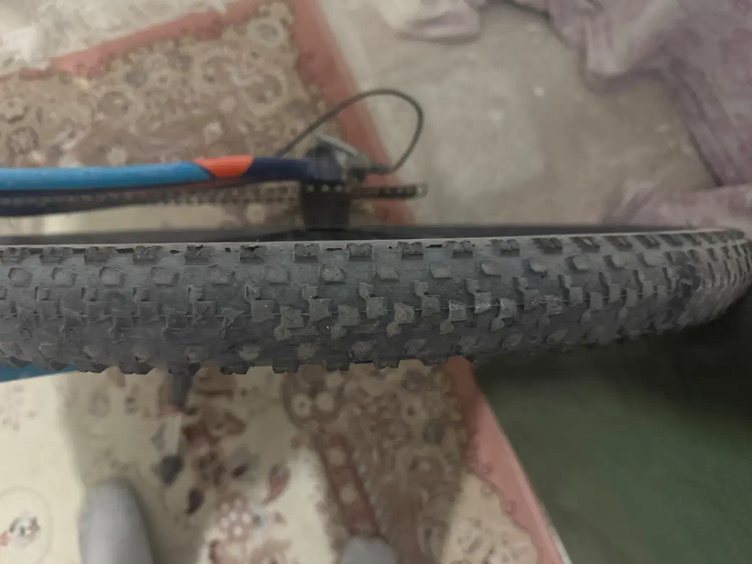 دوچرخه|دوچرخه، اسکیت، اسکوتر|اشتهارد, |دیوار