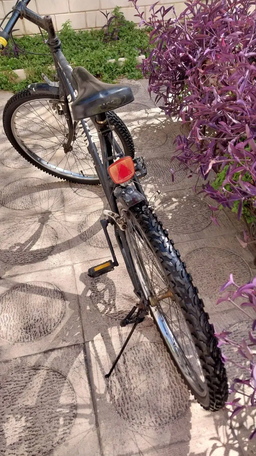 دوچرخه damavand تمیز|دوچرخه، اسکیت، اسکوتر|تهران, میرداماد|دیوار