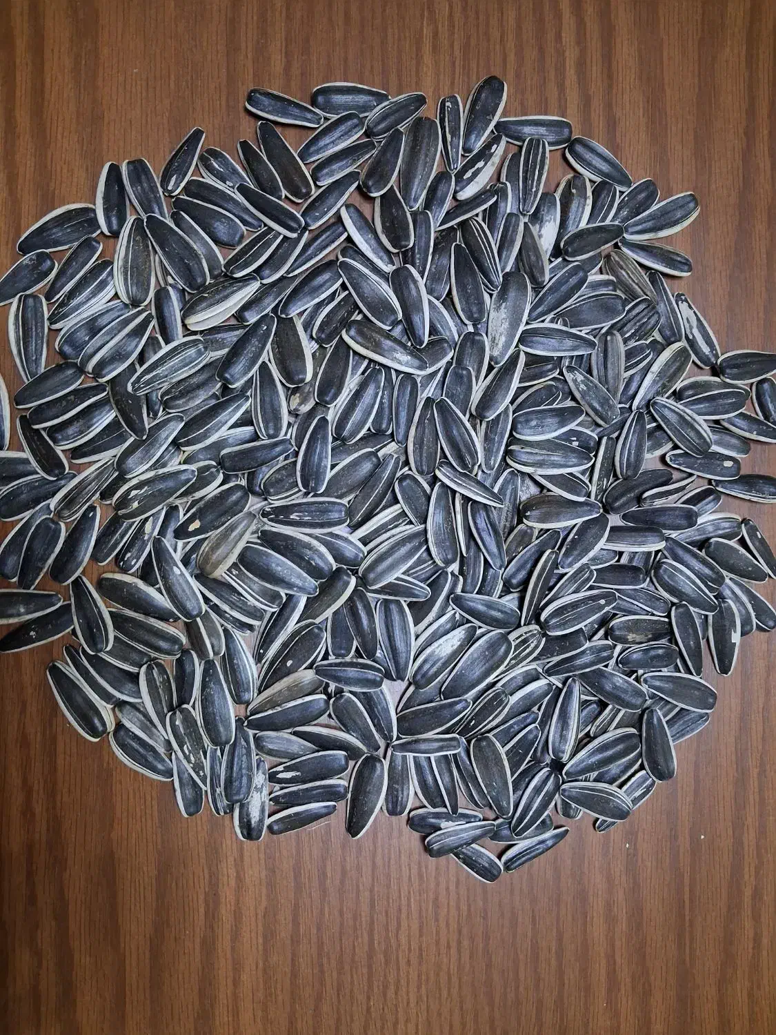 تخمه آفتابی وکدو خام وطعم دار|عمدهفروشی|قم, خداکرم|دیوار