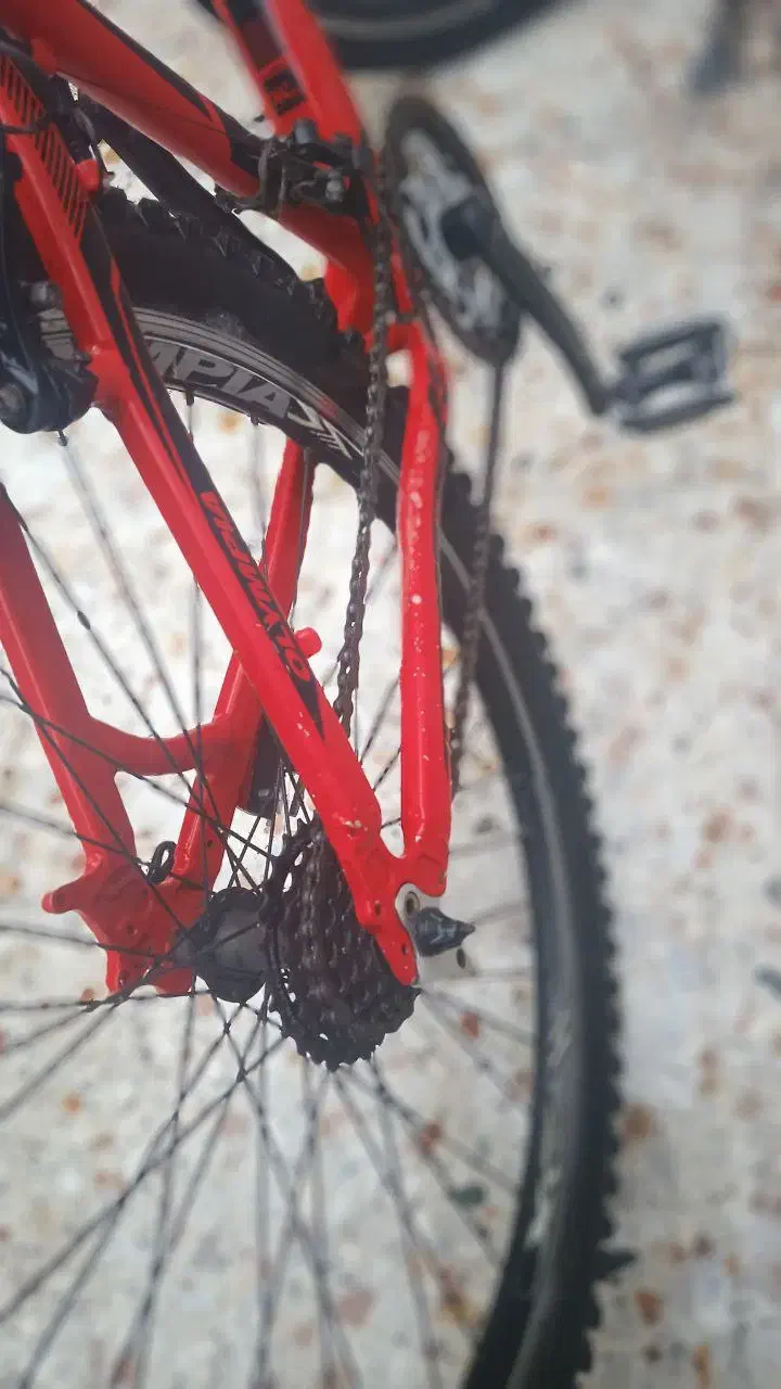 دوچرخه|دوچرخه، اسکیت، اسکوتر|کیاشهر, |دیوار