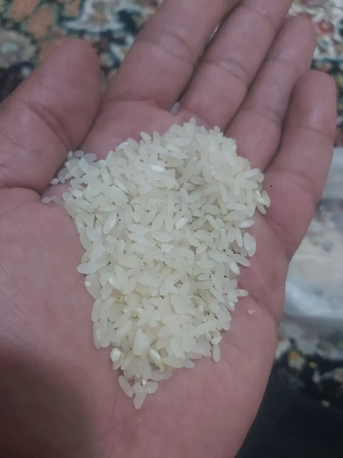 برنج کامفیروزی|خوردنی و آشامیدنی|کامفیروز, |دیوار